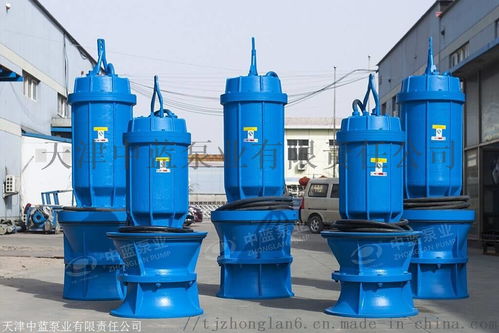 潛水貫流泵 河道灌溉斜坡專用設計與臥式全貫流泵的應用